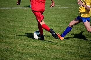 华体会娱乐app-篮球训练计划科学制定及执行效果跟踪研究,简述篮球训练计划制定步骤